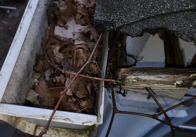 clogged-gutters-with-rot