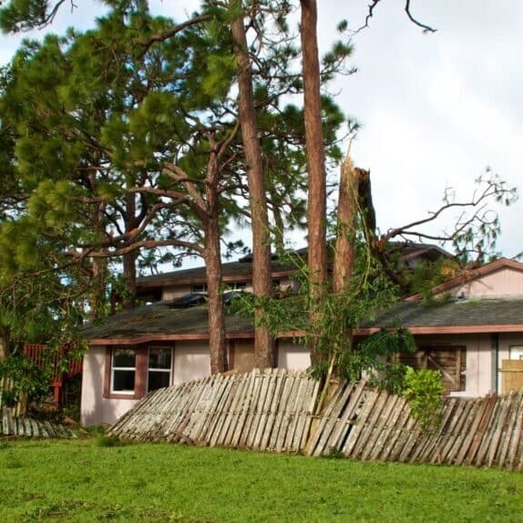 fallen-tree-damage-broken-fence