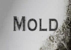mold