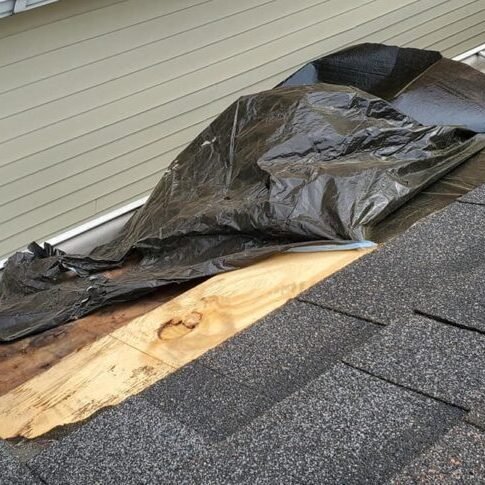 wood-rot-water-damage